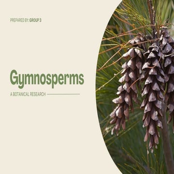 GYMNOSPERMS (Group 3) that will help outt