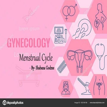 Menstrual Cycle