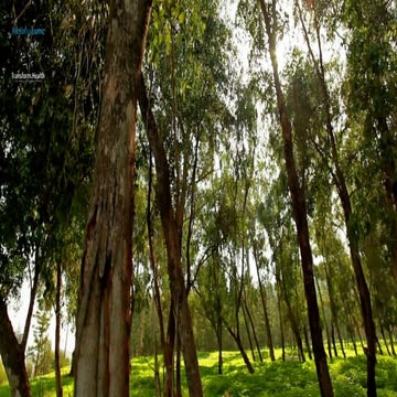 Gyn kwaliteitsmiddag 2018