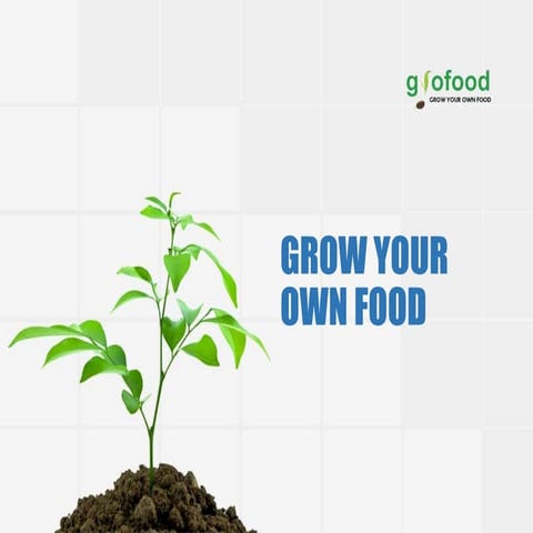 Grow your own food