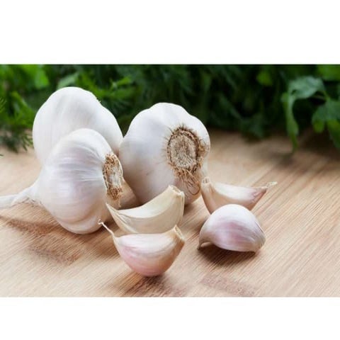 Benefits Of Garlic | PPTX