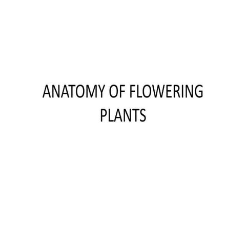 ANATOMY OF FLOWERING PLANTS