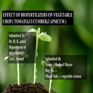 Use of biofertilizers on vegetable crops | PPTX