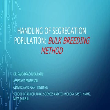 Bulk Breeding Method