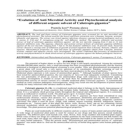 Chapter 1 Research | PPTX