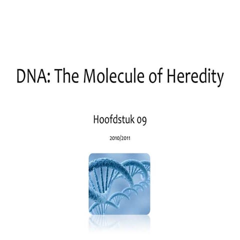 Hoofdstuk 09 - Audesirk