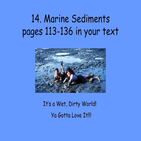 10 Marine Sediments Notes