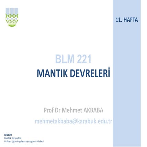 H11 blm221