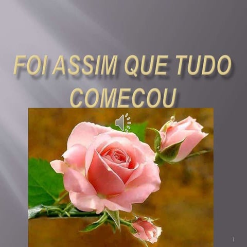 Foi assim que tudo começou BAIXINA