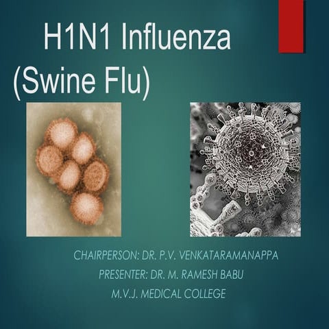 H1 N1 influenza (swine flu)