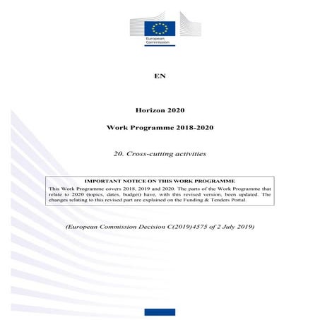 H2020 Work Programme 2018-2020 for Cross-Cutting Activities