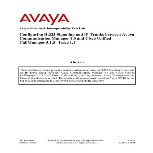 Avaya Cisco Trunking