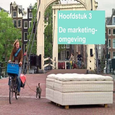 Hoofdstuk 3 Marketing Omgeving
