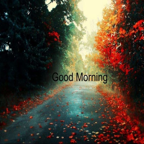 Periodontally Compromised Dentiition