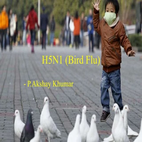 H5 n1 (bird flu)