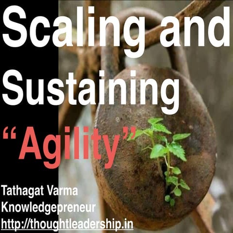 Scaling and Sustaining Agility
