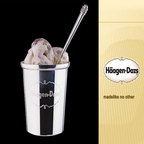 Haagen Dazs Brand Audit Project