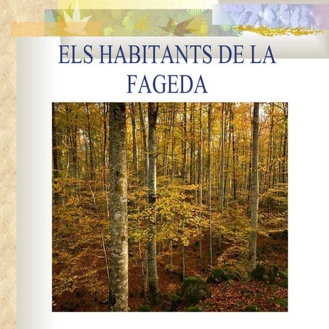 Habitants De La Fageda Nens
