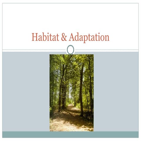 habitat & adaptation, environment, population ppt