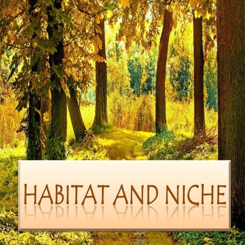 Habitat and niche report