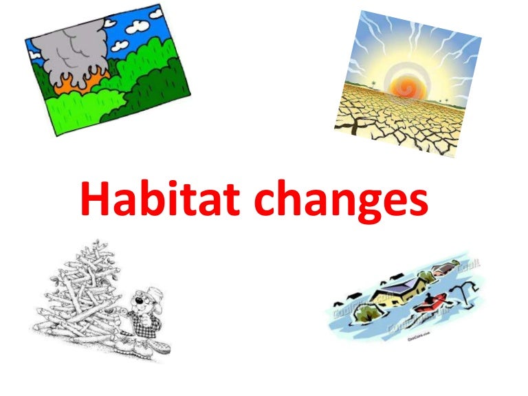 Habitat changes wiki
