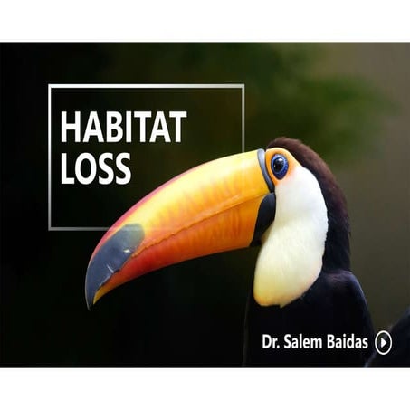 Habitat Loss      