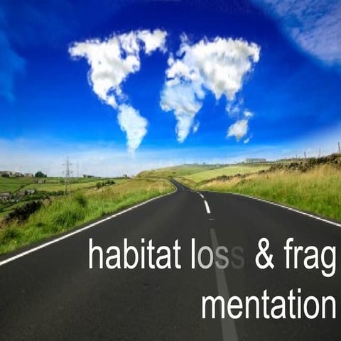 Grade9, L11-U3Habitat loss and fragmentation