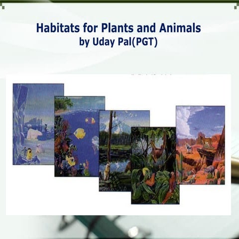 Habitats for plants and animals