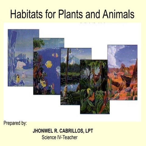 habitats for plants and animals.power point