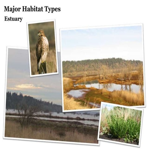Nisqually National Wildlife Refuge - Habitat types