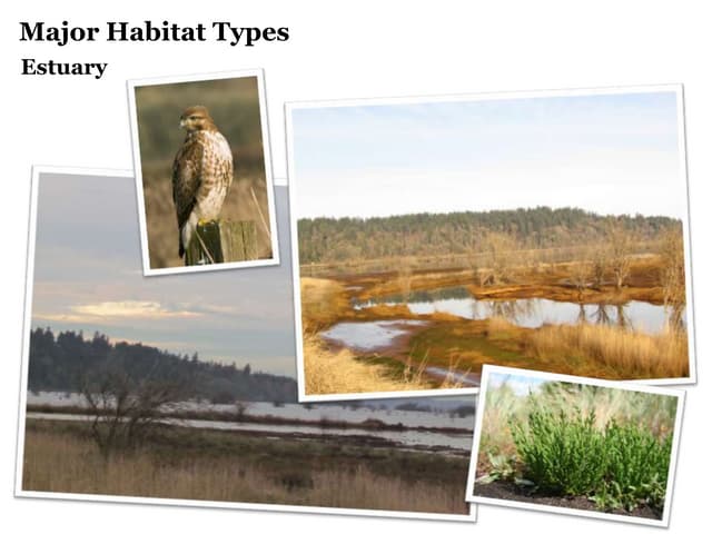 Nisqually National Wildlife Refuge - Habitat types