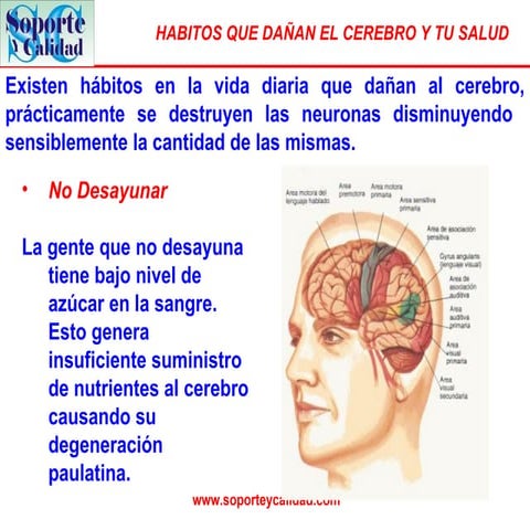 Habitos+que+dañan+el+cerebro+y+la+salud