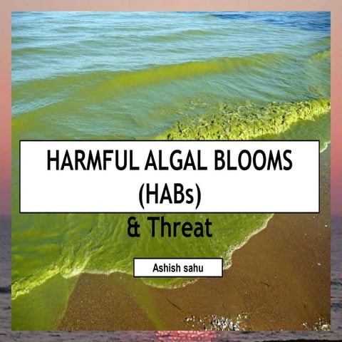 harmful algal bloom (HAB) Slide share ashish sahu sahu81862@gmail.com