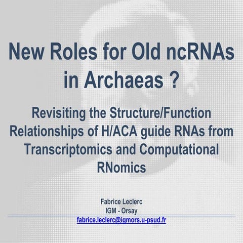 H/ACA(like) sRNA in Archaea