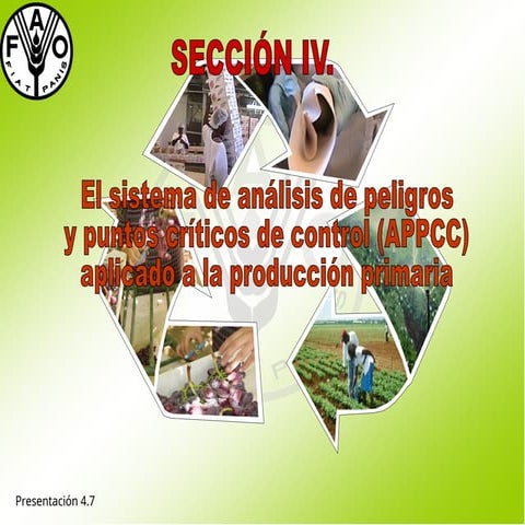 Implementación y Gestión del Sistema APPCC para la Inocuidad ...
