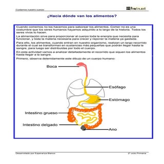 Hacia Donde Van Los Alimentos