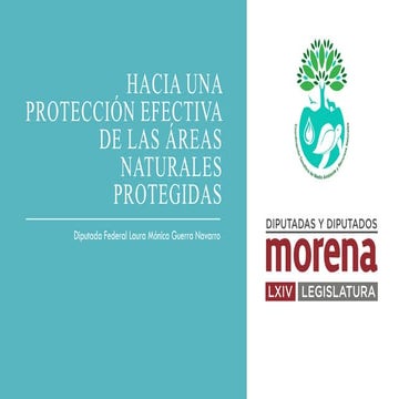 Hacia una proteccion efectiva de las areas naturales