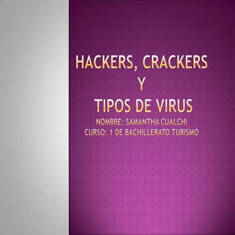 Hackers, crackers y tipos de virus