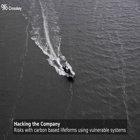 Hacking the Company : Risks with carbon-based lifeforms using vulnerable systems