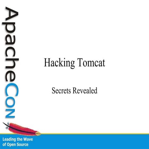 Hackingtomcat
