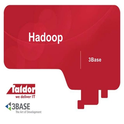 פיני מנדל   תובנות עסקיות מיישומי Hadoop