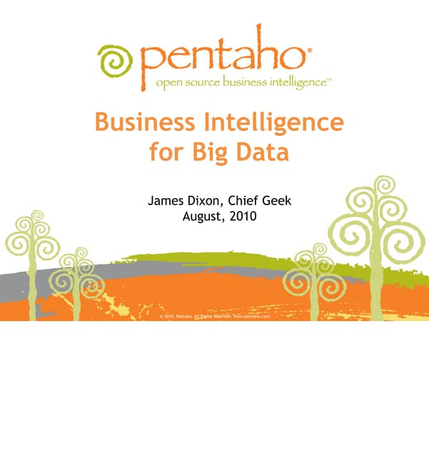 Nov 2010 HUG: Business Intelligence for Big Data