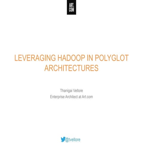 Leveraging Hadoop in Polyglot Architectures