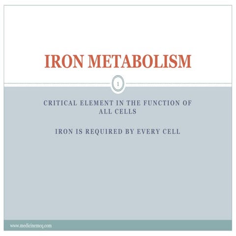 Iron metabolism 