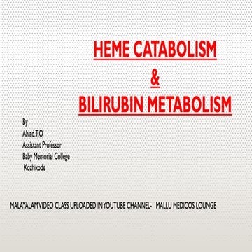  Heme Catabolism and Degradation Pathway #Bilirubin metabolism