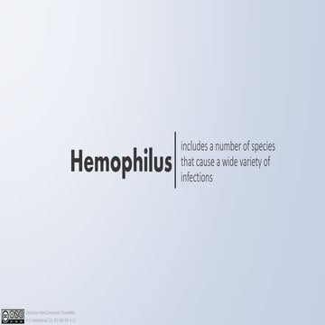 Haemophilus