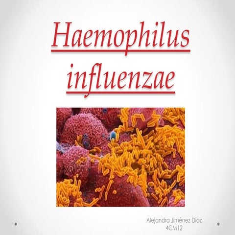Haemophilus influenzae