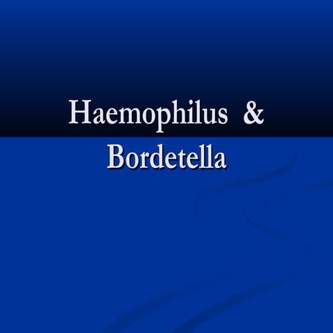 Haemophilus influenzae and bordetella