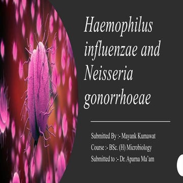 Haemophilus influenzae and Neisseria gonorrhoeae.pptx