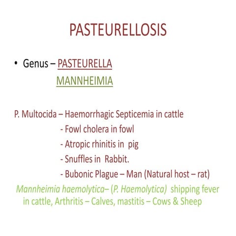 Haemorrhagic_Septicemia in Ruminant ,Gal ghotus